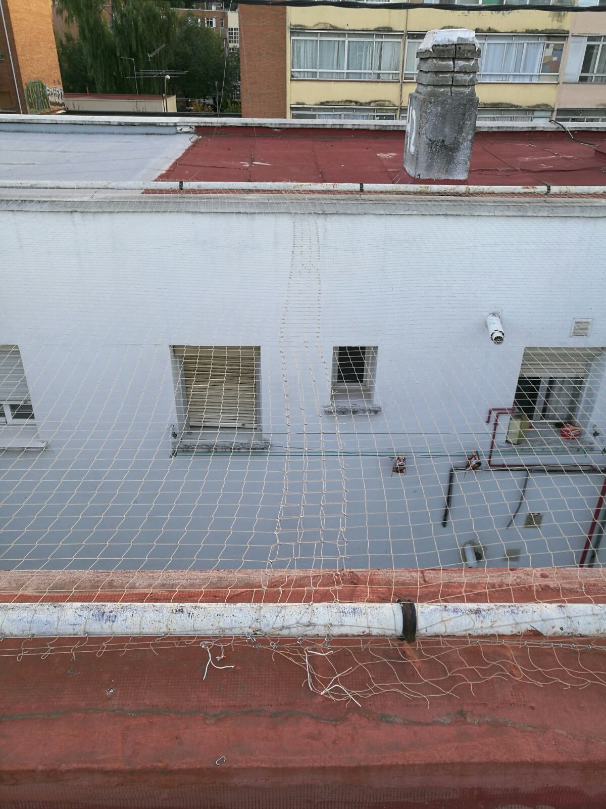Red horizontal